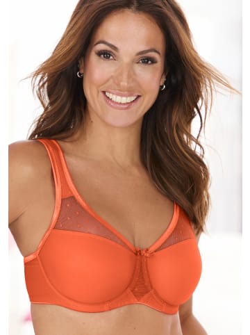 nuance Minimizer-BH in orange