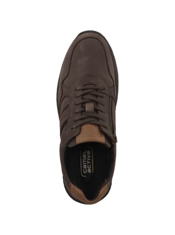 Camel Active Sneaker low 54WOA05 in dunkelbraun