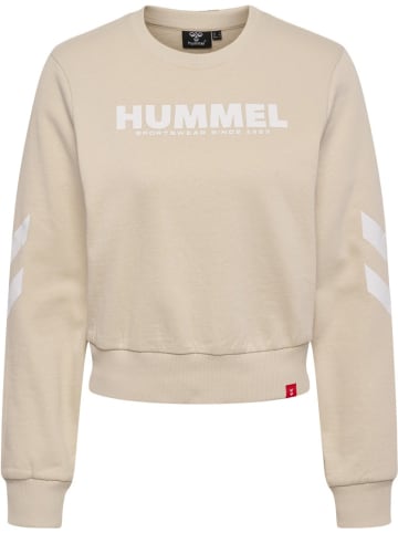 Hummel Pullover in Beige