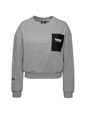 Hummel Sweatshirt Legacy Dacia in grau