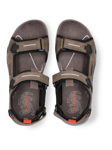 SALAMANDER Trekkingsandalen Basic in Grün