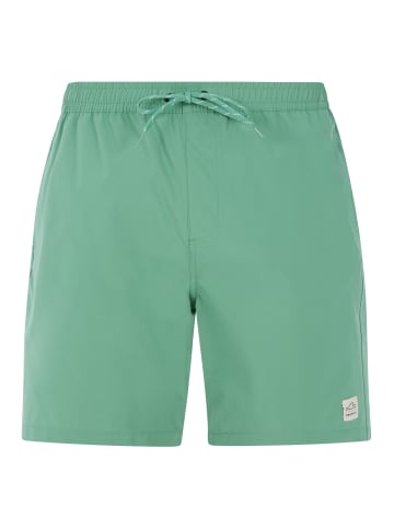 Protest " PRTBAKY in Frosty Green