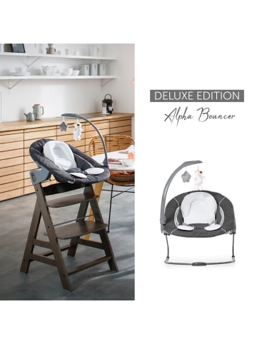 Hauck Hochstuhl Alpha Plus 4-tlg. Newborn Set in brown
