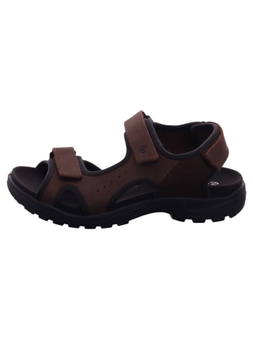 Ecco Herrensandalette Trecking Outdoor in  Braun