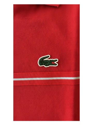 Lacoste Jr. Tshirt in