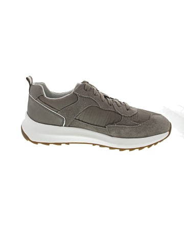 Geox Titanio A Sneaker low Grau