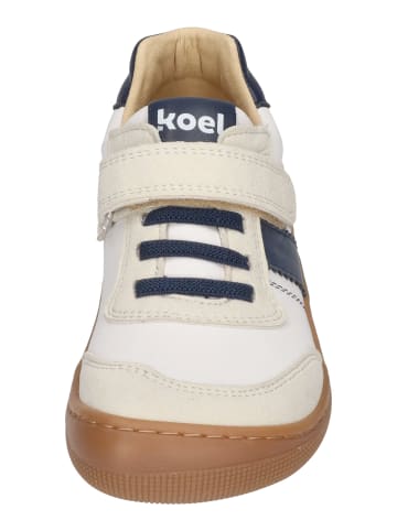 KOEL Sneaker Low DYLAN LEATHER 3.0 in bunt