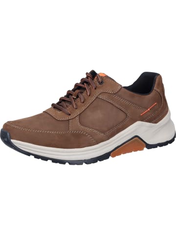 Pius Gabor Schnürschuhe in espresso