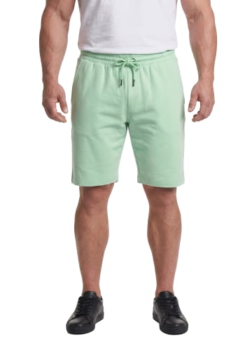 Men Plus Bermuda in hellmint