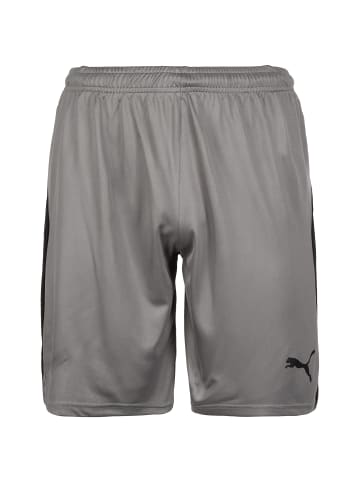 Puma Shorts Liga in grau / schwarz