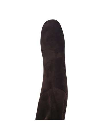 Schaftstiefel  Braxen in Braun