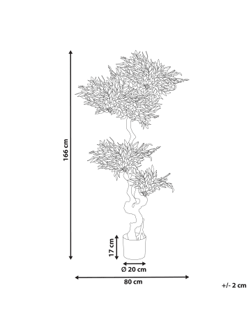 Beliani Kunstpflanze RUSCUS TREE in Grün/Schwarz - (W) 80 x (H) 166 x (L) 80 cm