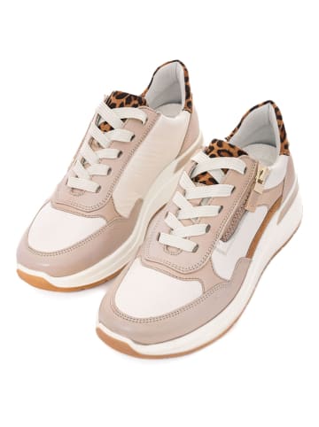 ara Sneaker in Beige