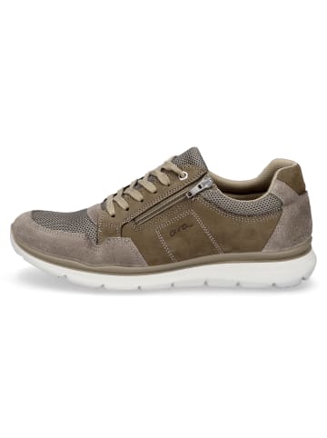 ara Sneaker in taupe khaki