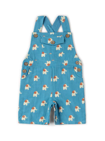 Little Green Radicals Bio-Latzhose in Blau