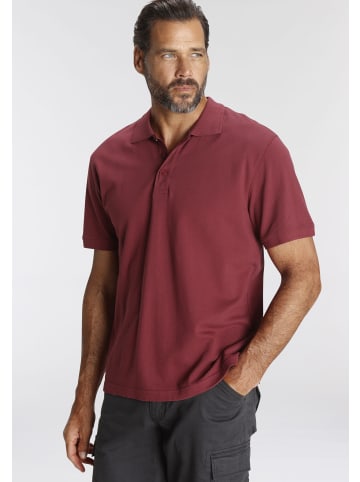 Man's World Poloshirt in weinrot