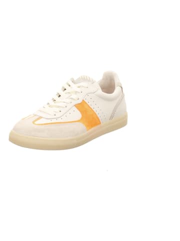 Floris van Bommel Sneaker in weiß