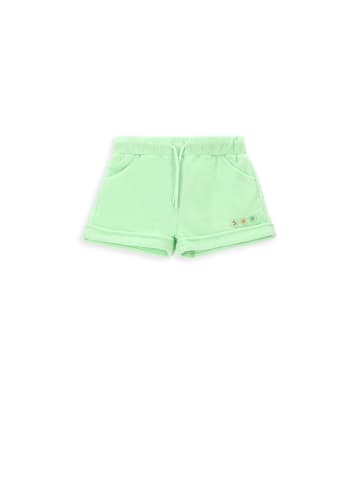 Coccodrillo Kurze Hose in grün