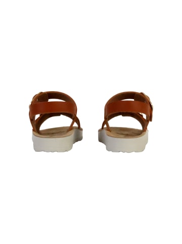 Geox Ledersandalen Kind Costarei Braun