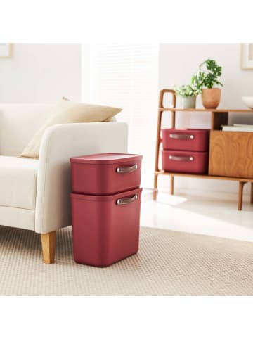 Rotho 2er-Set Kiste mit Deckel Maloja 25l in Iron rot