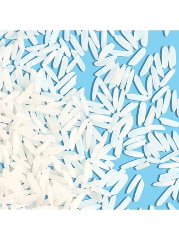Reishunger 3er Vorteilspaket - Basmati Reis, Bio (3x600g)