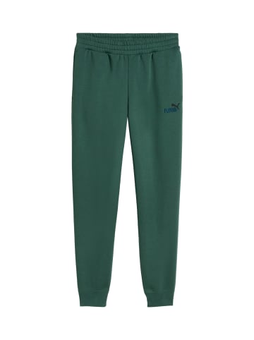 Puma Hose 'ESS 2 Colour No. 1 Logo' in grün