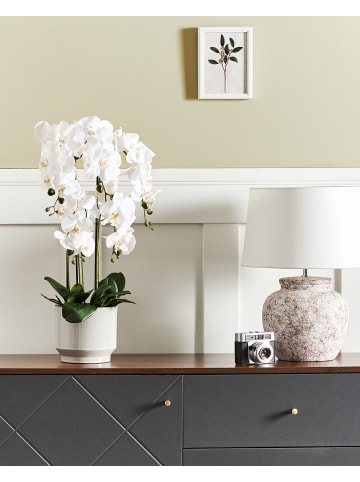 Beliani Kunstpflanze ORCHID in Grün/Weiß - (W) 28 x (H) 63 x (L) 28 cm