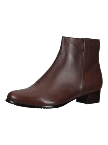 Everybody Stiefelette BARBARA Kastanie