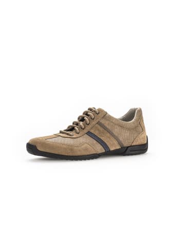 Pius Gabor Sneaker low in beige