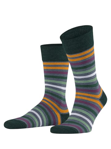 Falke Socken Tinted Stripe in Aqua/black