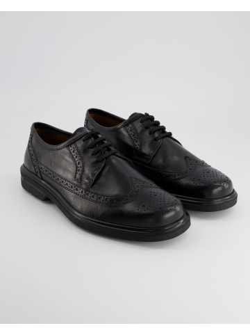 Sioux Business Schuhe in Schwarz