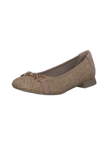 Caprice Ballerinas in BARK COMB