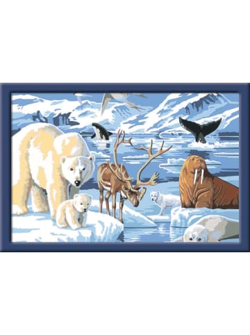 Ravensburger Ravensburger Malprodukte Tiere der Arktis in bunt