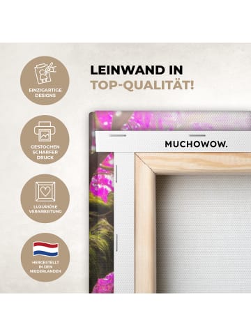 MuchoWow Leinwand bilder Magischer Wasserfall (BxH)