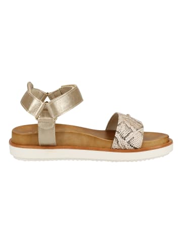 Scapa Sandalen in Platinum