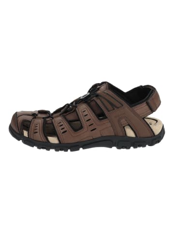 Geox Wanderschuhe in Dunkelbraun