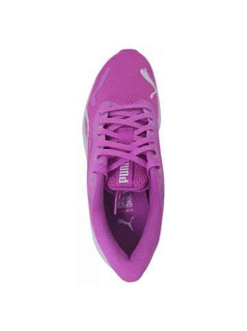 Puma Shoes Sneaker Pounce Lite Jr. in Lila