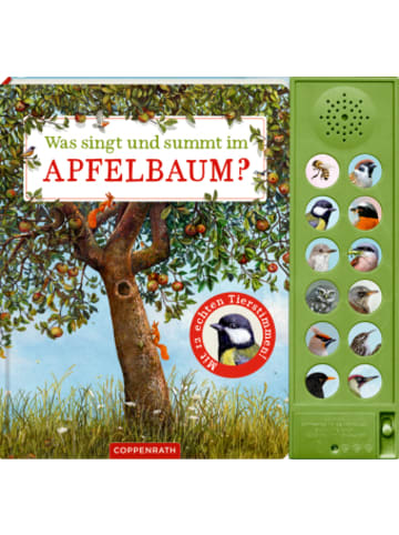 Coppenrath Buch - Was singt und summt im Apfelbaum?