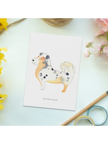 Mr. & Mrs. Panda Fotokarte Hund Australien Shepherd ohne Spruch in Weiß