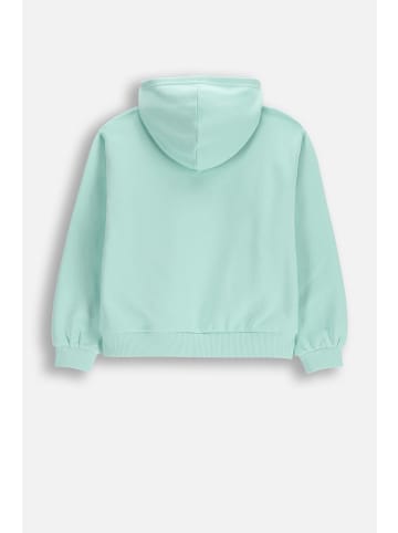 Coccodrillo Kapuzenpullover in grün