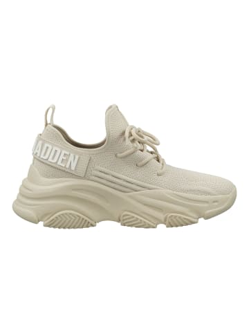 Steve Madden Sneaker in Bone