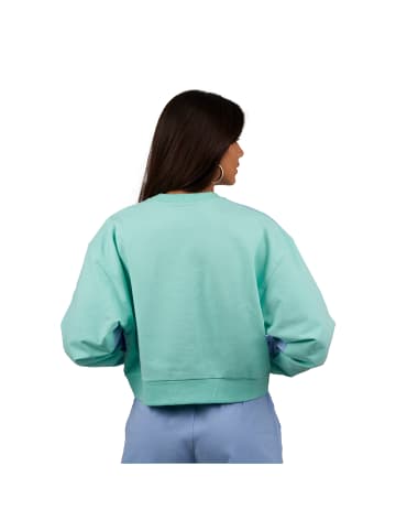 Superb Hoodie in Blue