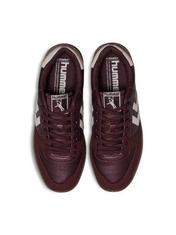 Hummel Hallenschuh Handball Perfekt Erwachsene in CATAWBA GRAPE