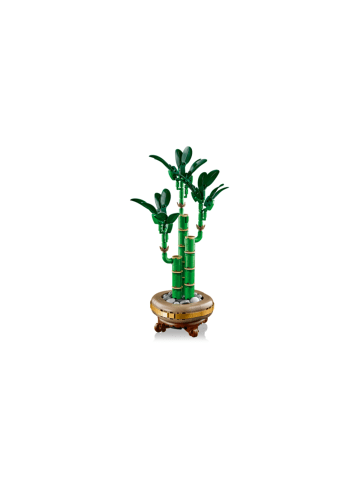 LEGO Botanical Collection Glücks-Bambus in Mehrfarbig ab 18 Jahre