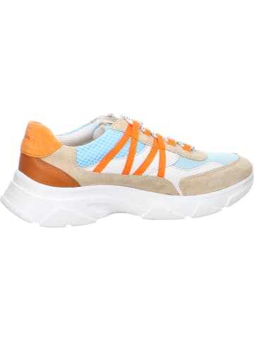 Sioux Sneaker für Damen in Bunt