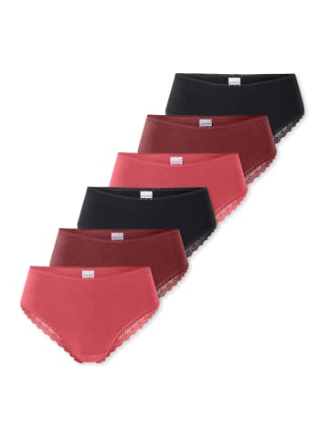 Schiesser Brazil Slip 95/5 Modern Cotton in Schwarz / rot