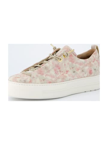 Paul Green Sportliche Schnürschuhe in Bunt