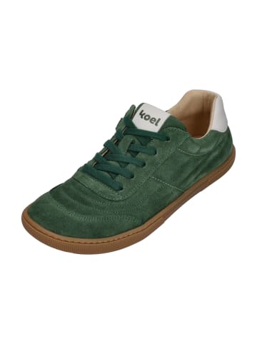 KOEL Sneaker Low DUSTIN SUEDE in braun