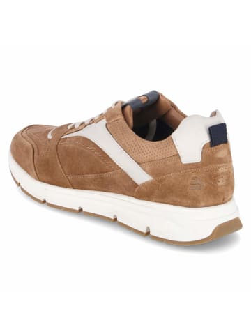 Bullboxer Low Sneaker in braun