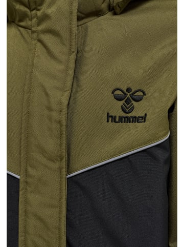 Hummel Reißverschluss Jacke Hmljosse Lebensstil Mädchen in DARK OLIVE